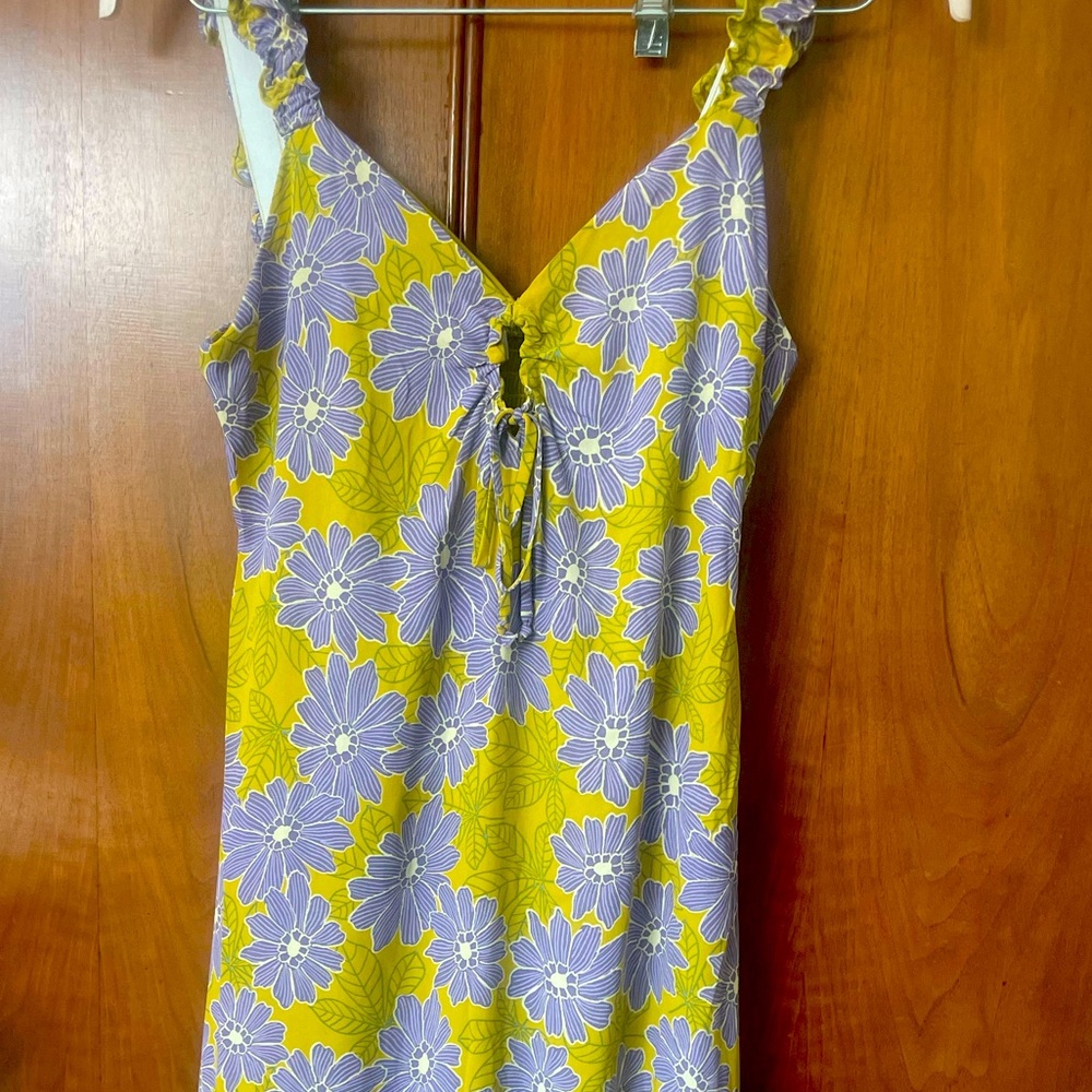 Brand new midi sienna sky dress